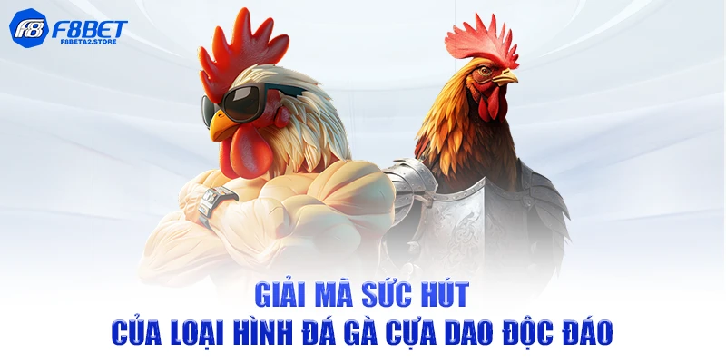 Giải mã sức hút của loại hình đá gà cựa dao độc đáo