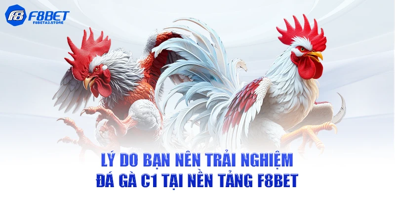 Lý do bạn nên trải nghiệm đá gà C1 tại nền tảng F8BET