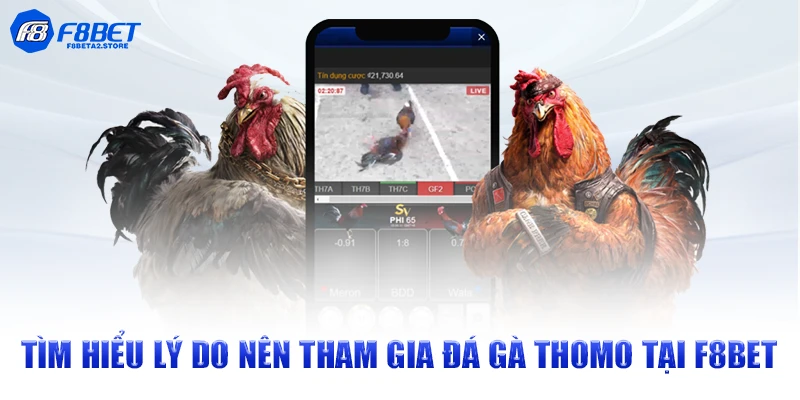 Tìm hiểu lý do nên tham gia đá gà Thomo tại F8BET 