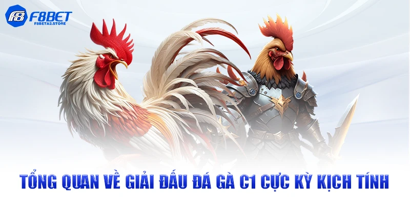 Tổng quan về giải đấu đá gà C1 cực kỳ kịch tính
