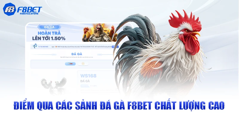 Điểm qua các sảnh đá gà F8BET chất lượng cao