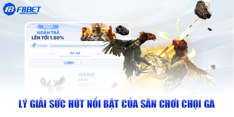 Lý giải sức hút nổi bật của sân chơi chọi gà