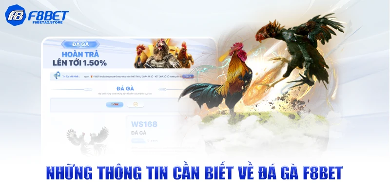 Những thông tin cần biết về đá gà F8BET