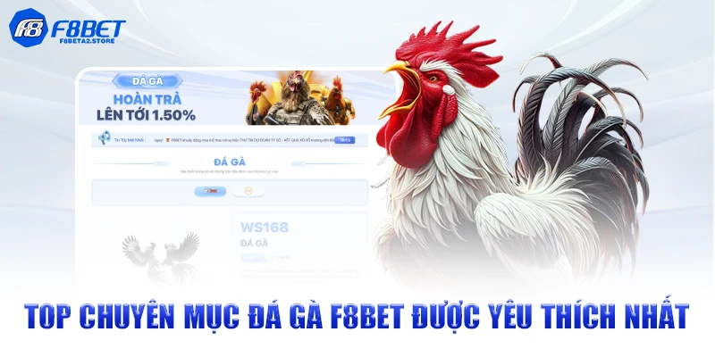 Top chuyên mục đá gà F8BET được yêu thích nhất